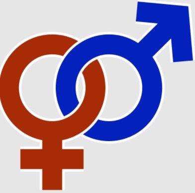Arti Gender di Rp Arti Gender di Rp