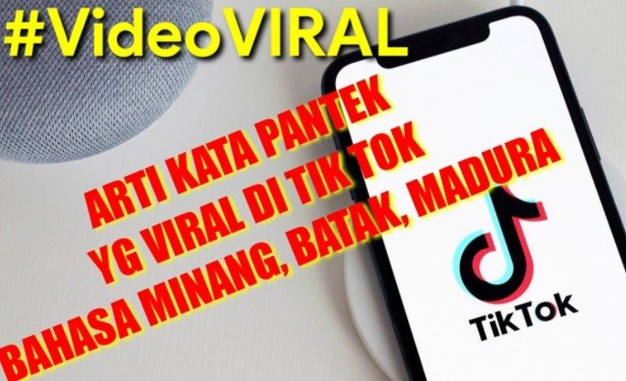 Arti Kata Pantek di TikTok Arti Kata Pantek di TikTok