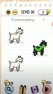 Dimana Kambing Hitam Brain Test Dimana Kambing Hitam Brain Test