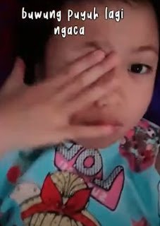Filter Buwung Puyuh Lagi Ngaca Filter Buwung Puyuh Lagi Ngaca