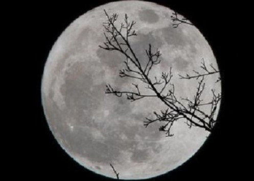 Gambar Bulan yang Viral di TikTok Gambar Bulan yang Viral di TikTok