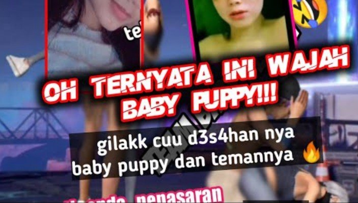 Baby Puppy FF Baby Puppy FF