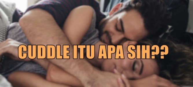 Arti Cuddle di RP Arti Cuddle di RP